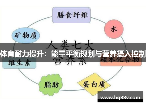 体育耐力提升：能量平衡规划与营养摄入控制